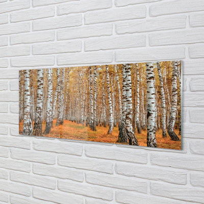 Quadro in vetro acrilico Alberi autunnali