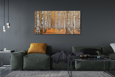 Quadro in vetro acrilico Alberi autunnali