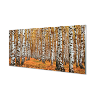 Quadro in vetro acrilico Alberi autunnali