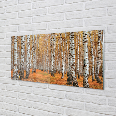 Quadro in vetro acrilico Alberi autunnali