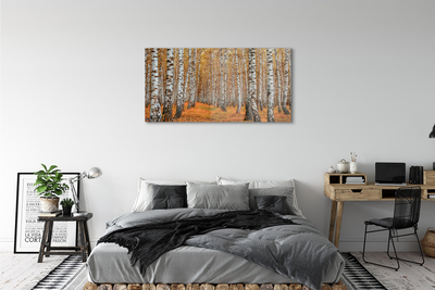 Quadro in vetro acrilico Alberi autunnali