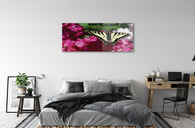 Quadro su vetro acrilico Fiori di farfalla