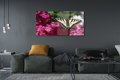 Quadro su vetro acrilico Fiori di farfalla