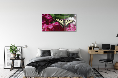 Quadro su vetro acrilico Fiori di farfalla