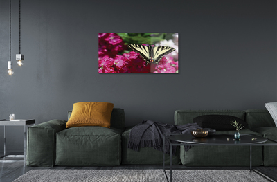 Quadro su vetro acrilico Fiori di farfalla