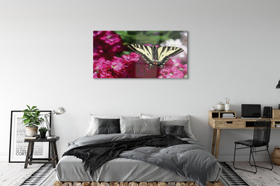 Quadro su vetro acrilico Fiori di farfalla