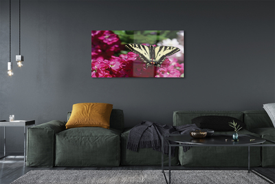 Quadro su vetro acrilico Fiori di farfalla