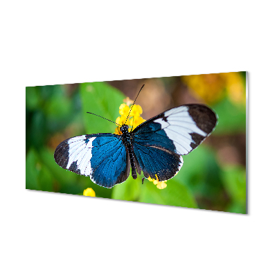 Quadro vetro acrilico Farfalla colorata sui fiori