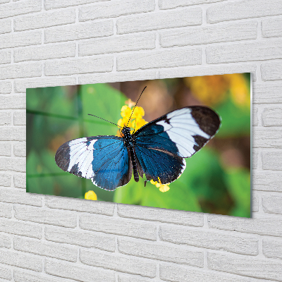 Quadro vetro acrilico Farfalla colorata sui fiori