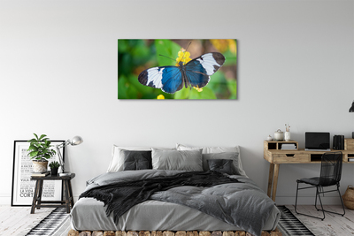 Quadro vetro acrilico Farfalla colorata sui fiori