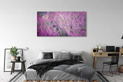 Quadro vetro acrilico Campo heather