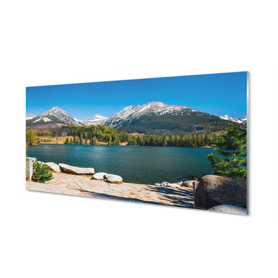 Quadro su vetro acrilico Lago delle montagne