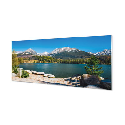 Quadro su vetro acrilico Lago delle montagne