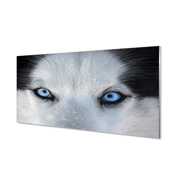 Quadro vetro acrilico Eyes Wolf