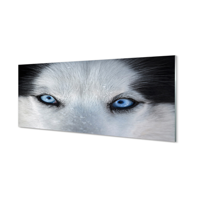 Quadro vetro acrilico Eyes Wolf