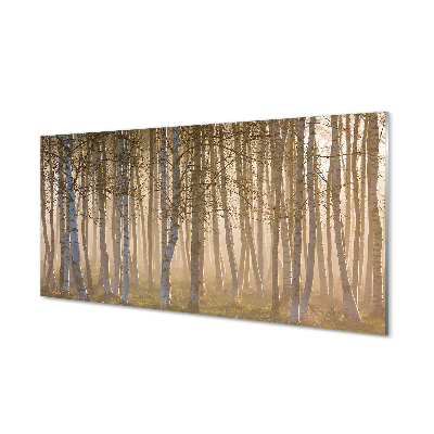 Quadro acrilico Foresta dell'alba dell'albero