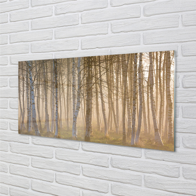 Quadro acrilico Foresta dell'alba dell'albero