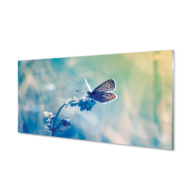 Quadro in vetro acrilico Farfalla colorata