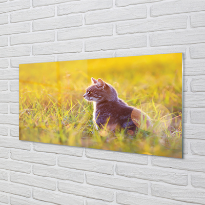 Quadro acrilico Catto di caccia