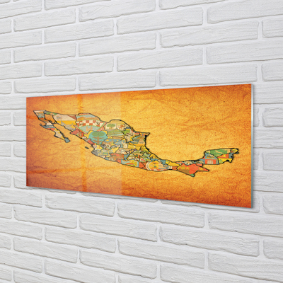 Quadro acrilico Mappa colorata