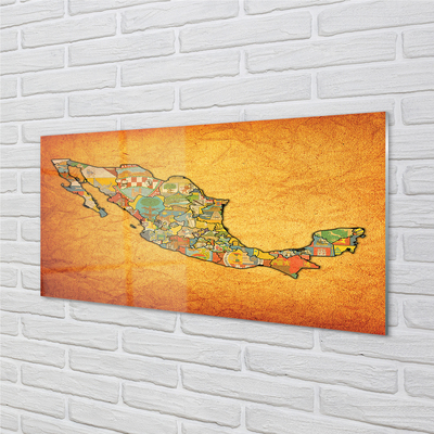 Quadro acrilico Mappa colorata