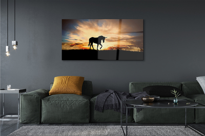 Quadro su vetro acrilico Sunset unicorno