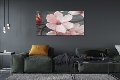 Quadro acrilico Fiori rosa