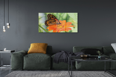 Quadro acrilico Fiore di farfalla colorato