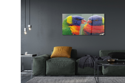 Quadro su vetro acrilico Pappagalli colorati