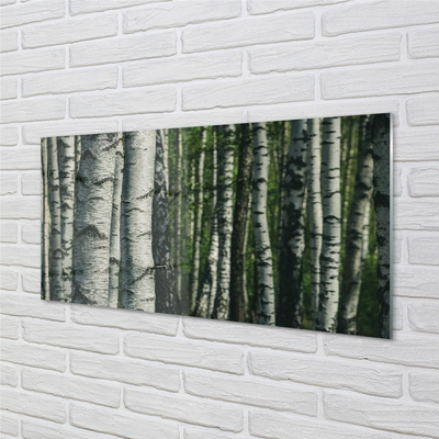 Quadro su vetro acrilico Foresta di betulla