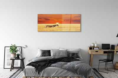 Quadro acrilico Zebra Field Sunset