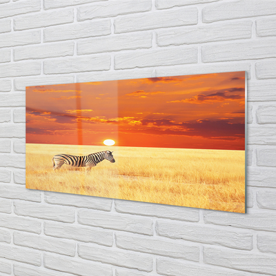 Quadro acrilico Zebra Field Sunset