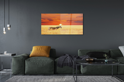 Quadro acrilico Zebra Field Sunset