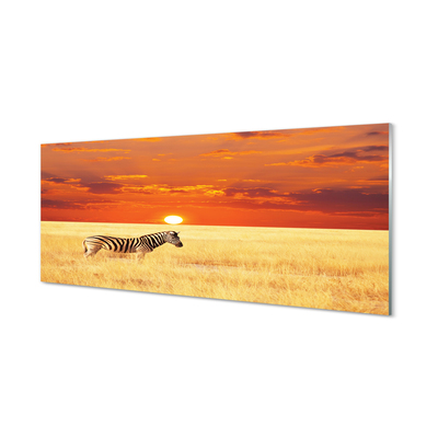 Quadro acrilico Zebra Field Sunset