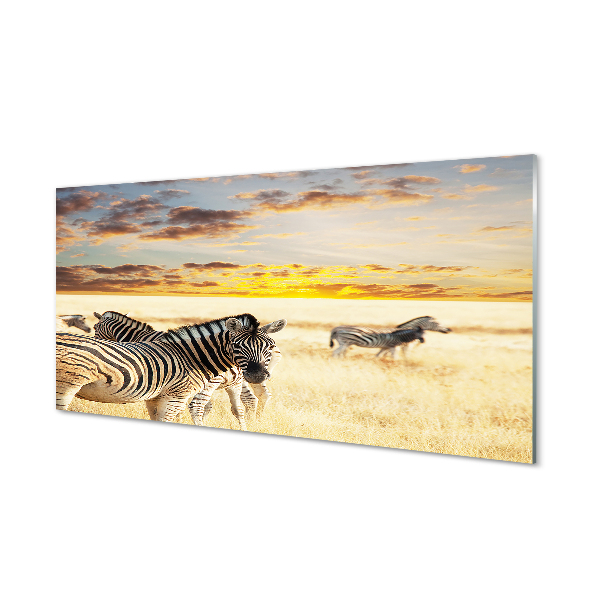 Quadro su vetro acrilico Zebry Field Sunset