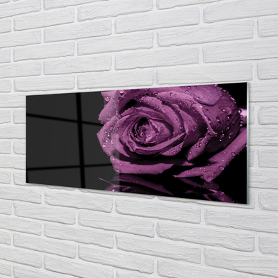 Quadro vetro acrilico Rosa viola