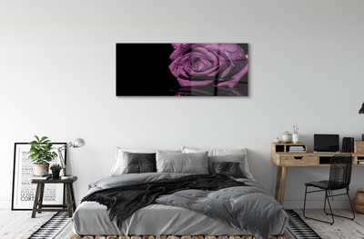 Quadro vetro acrilico Rosa viola