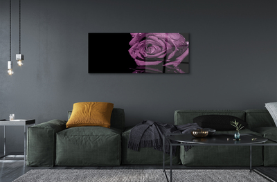 Quadro vetro acrilico Rosa viola