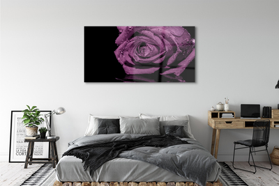 Quadro vetro acrilico Rosa viola