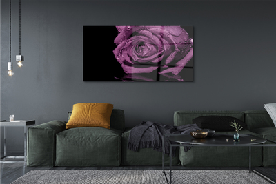 Quadro vetro acrilico Rosa viola