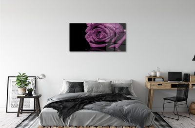 Quadro vetro acrilico Rosa viola