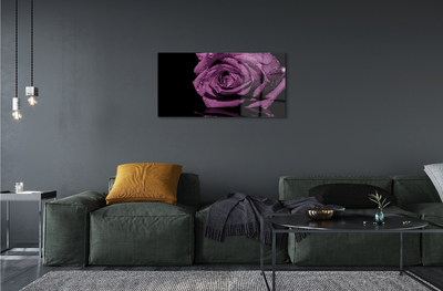 Quadro vetro acrilico Rosa viola