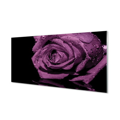 Quadro vetro acrilico Rosa viola