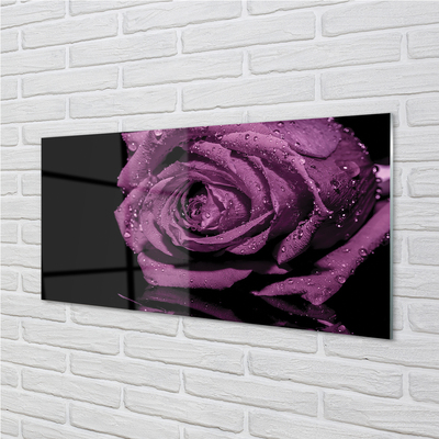 Quadro vetro acrilico Rosa viola