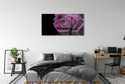 Quadro vetro acrilico Rosa viola