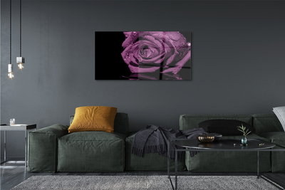 Quadro vetro acrilico Rosa viola