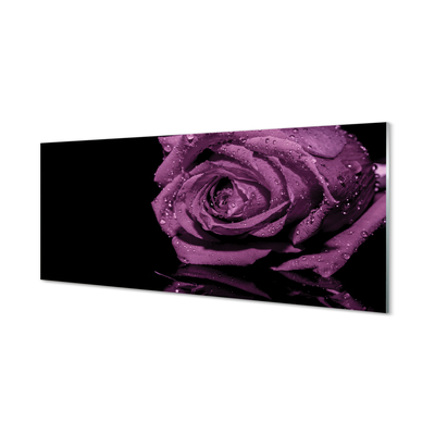 Quadro vetro acrilico Rosa viola