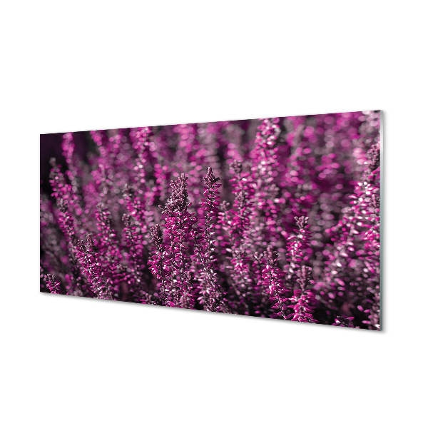 Quadro acrilico Campo heather