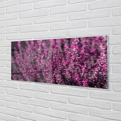 Quadro acrilico Campo heather