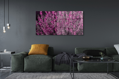 Quadro acrilico Campo heather